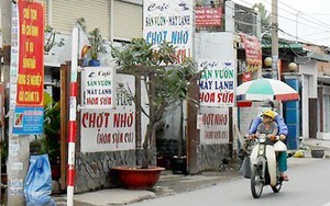 Lập khu 'nhạy cảm' chứ không cho phép mại dâm