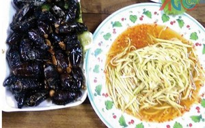 Đặc sản... bọ rầy Bảy Núi