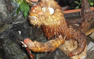 Chiêm ngưỡng bộ sưu tập rễ tre độc nhất vô nhị ở Việt Nam