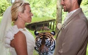Chùm ảnh: Những “kẻ phá bĩnh” trong các bức ảnh cưới