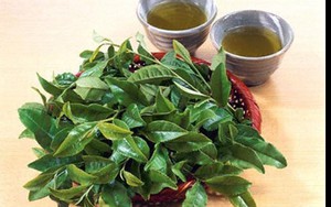 Những lưu ý khi uống trà xanh