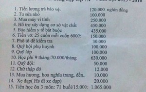 Thu tiền sai quy định, một Hiệu trưởng bị tạm đình chỉ công tác