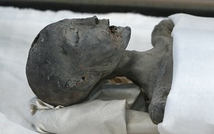 Khám phá chấn động về lăng mộ của Hoàng đế Ai Cập Tutankhamun
