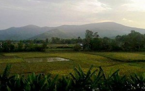 Đi trang điểm cô dâu, bị lừa đưa vào rừng hiếp dâm