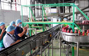 Vụ "thanh tra một ngày" THP: Không đủ điều kiện để tin cậy