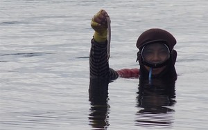 Săn loài tăng 'bản lĩnh đàn ông'