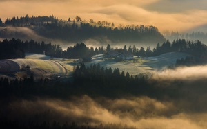 Ngây ngất với vẻ đẹp ma mị khó cưỡng của sương sớm vùng Slovenia