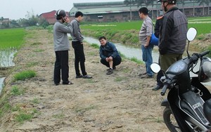 Hải Phòng: Nam thanh niên cứa cổ và tay tự tử giữa cánh đồng?