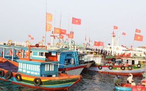 Đang xác minh tàu cá Lý Sơn bị tàu lạ đâm ở khu vực Hoàng Sa