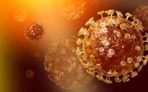 Dịch MERS-CoV, ca bệnh đầu tiên sẽ ở đâu?