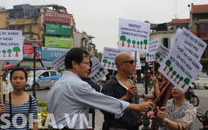 Người dân mang theo tổ chim để phản đối chặt cây tại Hà Nội