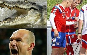Nghịch dại, Robben suýt bị cá sấu cắn cụt bàn tay