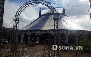 Cựu Chủ tịch Liên đoàn Lao động tỉnh bị thương khi sập rạp xiếc