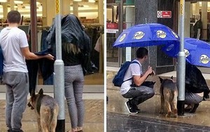 Bức ảnh cặp đôi cởi áo khoác che mưa cho chú chó lạ gây xúc động mạnh