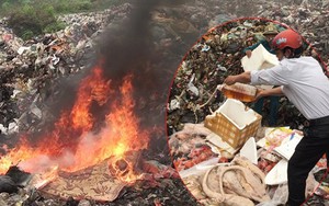 Gần 1 tấn nội tạng trâu, bò nhập lậu cháy bùng bùng