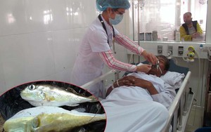 Ba ngư dân nguy kịch sau khi câu cá nóc lên ăn