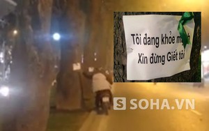 Xuất hiện những tờ giấy “lạ” trên thân cây ở Hà Nội