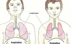 3 "bài thuốc" quý giúp bạn sống một đời không bệnh tật