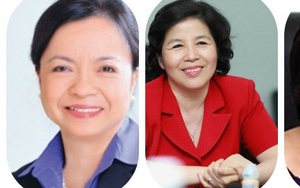 'Bóng hồng' nào giàu nhất sàn chứng khoán Việt năm 2015?
