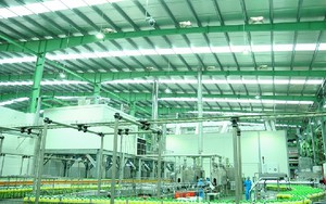 Nhận ngay nửa tỷ nếu bỏ được ruồi vào dây chuyền sản xuất của THP