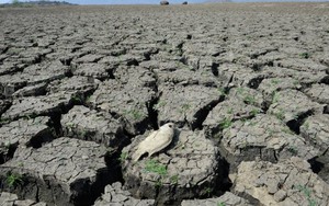 El Nino, biến đổi khí hậu khiến nửa VN thành chảo lửa