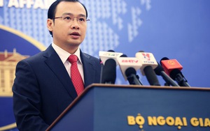 Việt Nam thất vọng việc Mỹ triển khai giám sát cá tra, basa