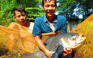 Dòng sông “thủy quái”