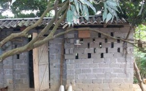 Bé gái bị đánh đuổi ra khỏi nhà, phải ngủ trong chuồng gà