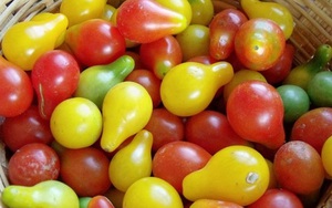Củ, quả lạ khiến dân "sang chảnh" phát cuồng