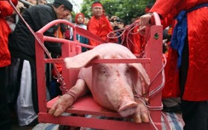 Lãnh đạo Bắc Ninh đang thuyết phục các bô lão bỏ lễ "chém ông Ỉn"