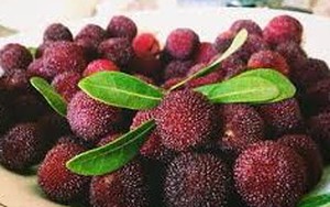 Hà Thành hớ nặng: Thanh mai TQ 8 ngàn bán 200 ngàn/kg