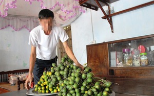 Buồn vui đám cưới quê: Một đám cưới ngốn cả tấn thịt