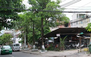 "Tôi đang tính đến việc động viên con gái trả lại hai lô đất"