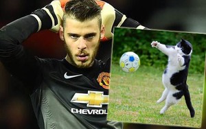 Thú vị thủ môn mèo ngang tài De Gea