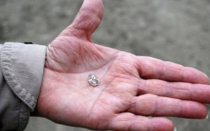 Đi dạo công viên bất ngờ tìm thấy kim cương 'khủng'