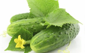 Giật mình độc tố trong dưa chuột