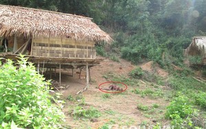 Đã khoanh vùng nghi phạm vụ thảm sát ở Nghệ An