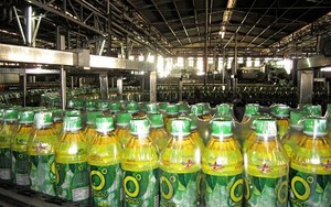 Chai trà xanh không độ có gián, 50 triệu đồng và 3 năm tù