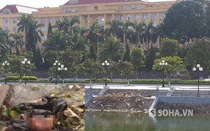 Bàng hoàng phát hiện sọ người đang phân hủy trong túi ni lông