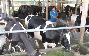 Vinamilk ký hợp đồng mua sữa tươi nguyên liệu của gần 8.000 hộ nông dân