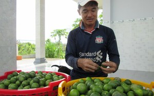 40kg chanh không bằng một ổ bánh mì