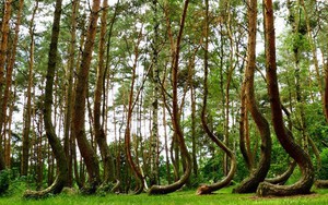 Ngỡ ngàng những địa điểm "không thể tin được" trên Trái Đất
