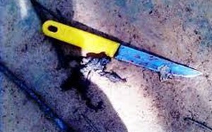 Bạn gái bị trêu chọc, thiếu niên đâm chết người