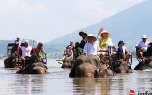 Kinh ngạc cưỡi voi bơi trên hồ Lăk