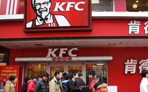 Sự thật về vụ KFC sử dụng gà 8 chân, 6 cánh