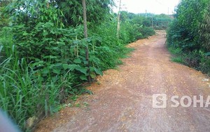 Bé gái bị anh họ giở trò đồi bại trong đêm trung thu