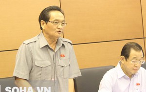 ĐB Du Lịch: "Bộ Tài chính chi tiêu ngân sách giật gấu vá vai"