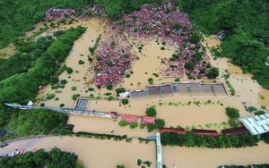 Lũ kinh hoàng ở Quảng Ninh: Thế giới cũng khó dự báo