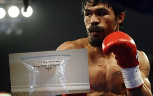 3 chiếc iPhone 6 để “ngửi mùi Pacquiao”