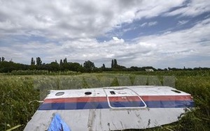 Ukraine biện hộ việc không đóng không phận trong vụ MH17